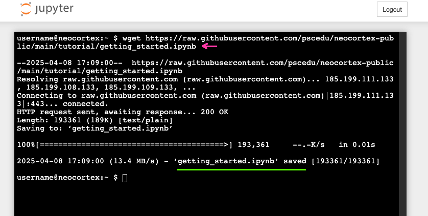Terminal Wget Example